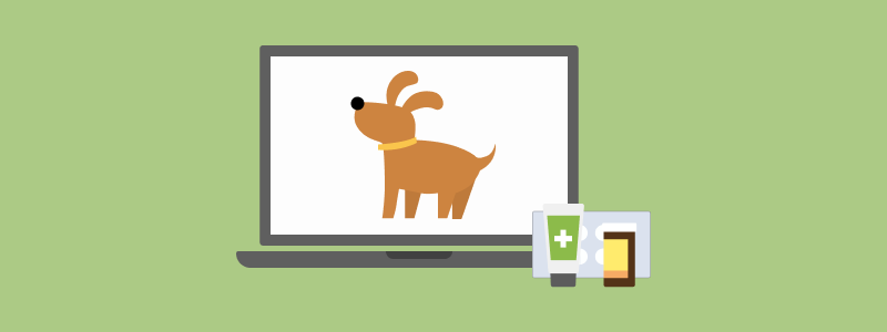 Online Pharmacies for Pets